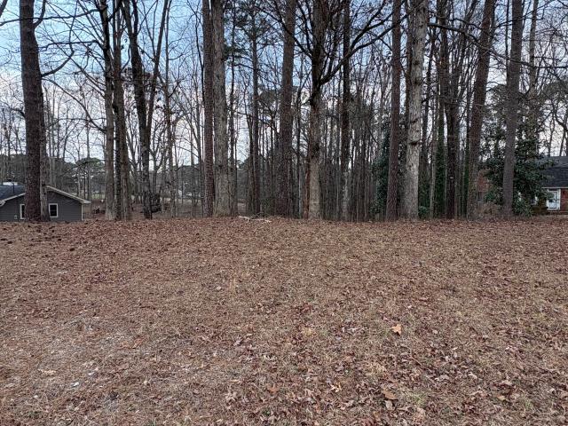 Land for sale in Fairburn, Georgia