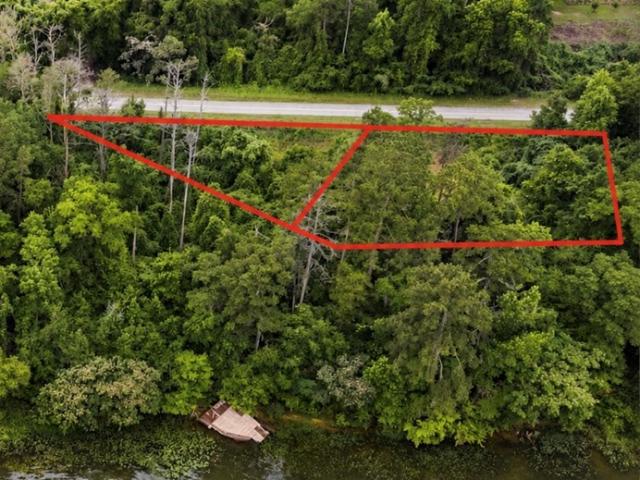 Land for sale in Abbeville, Henry County