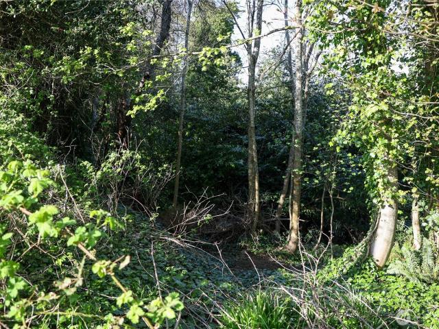 Land for sale in Aberdeen