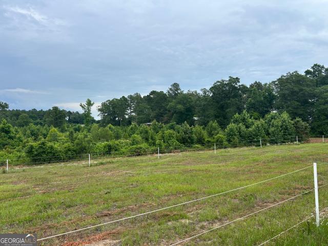 Land for sale in Dodge, Georgia
