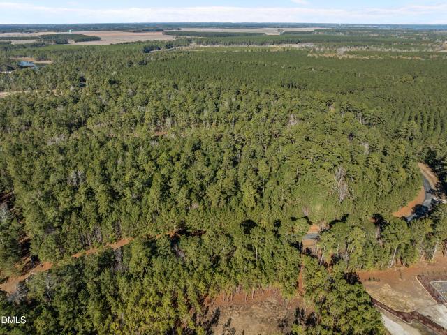 Land for sale in Belhaven, North Carolina