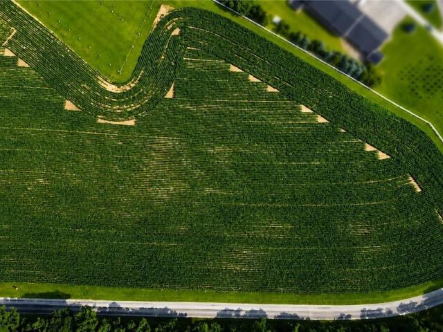 Land for sale in Orrville, Ohio