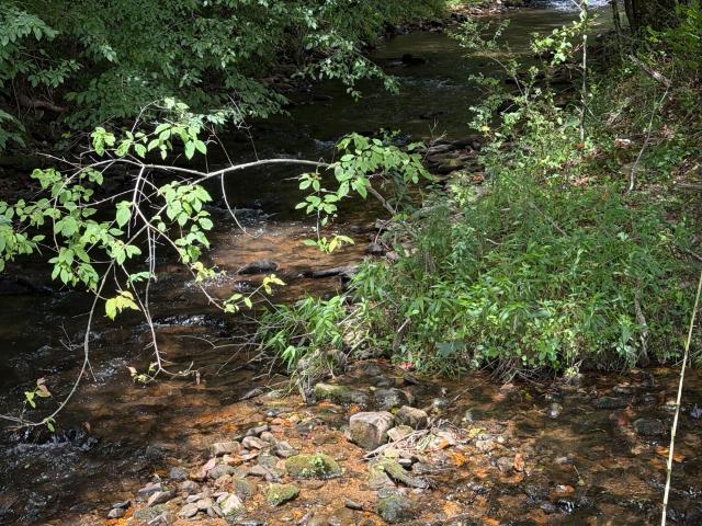 Land for sale in Suches, Georgia