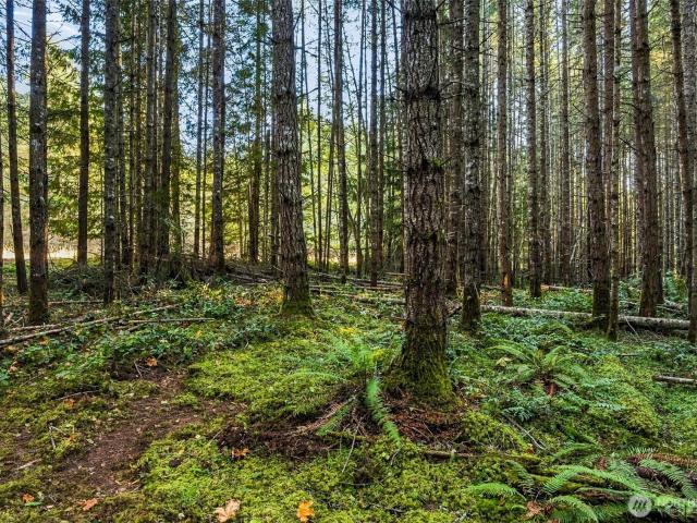 Land for sale in Sequim, Clallam County