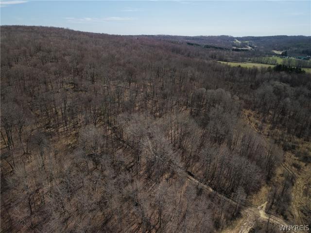 Land for sale in Franklinville, New York