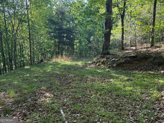 Land for sale in Banks, Georgia
