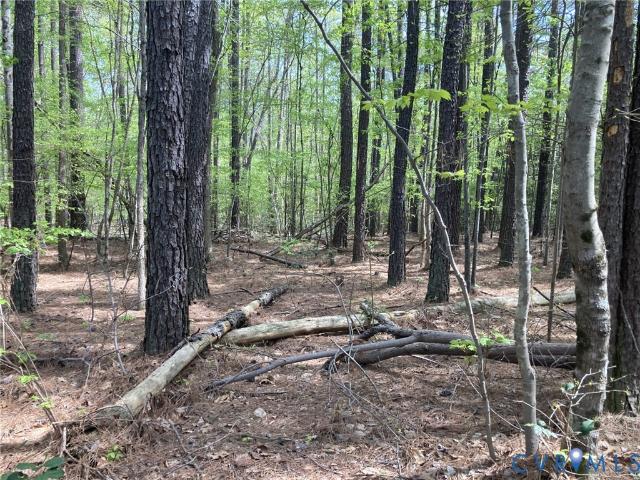 Land for sale in Virginia