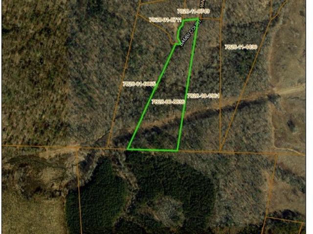 Land for sale in Beaverdam, Hanover County