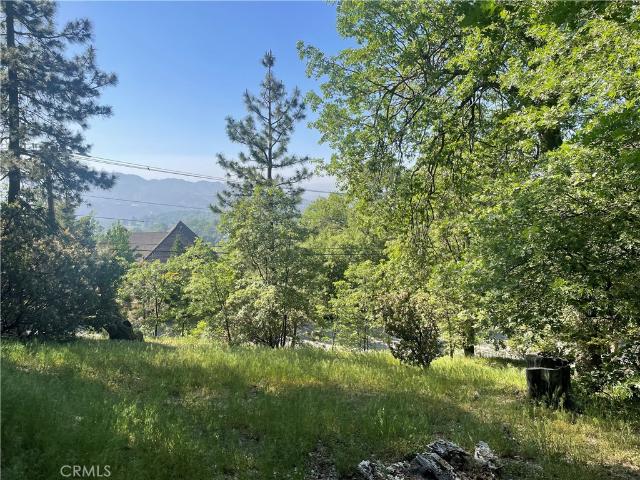 Land for sale in Cedar Glen, California