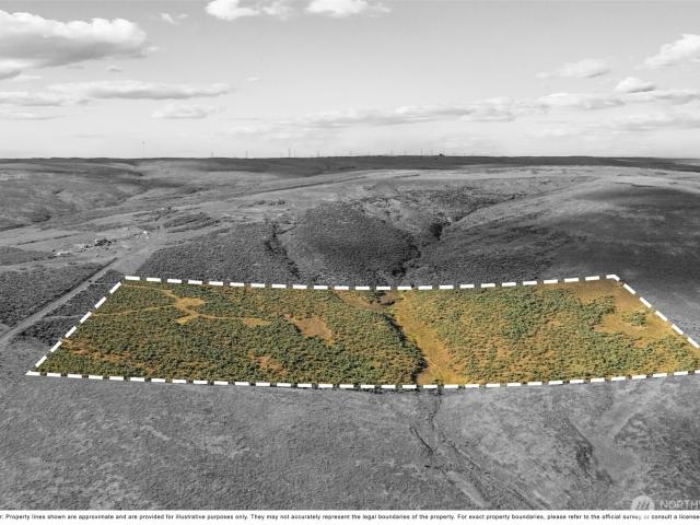 Land for sale in Coulee City, Washington