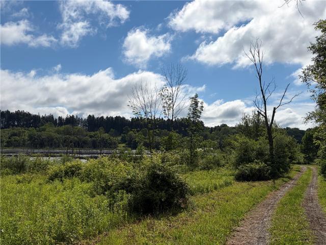 Land for sale in Centerville, New York