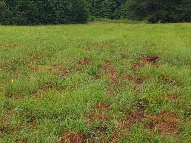 Land for sale in Georgia