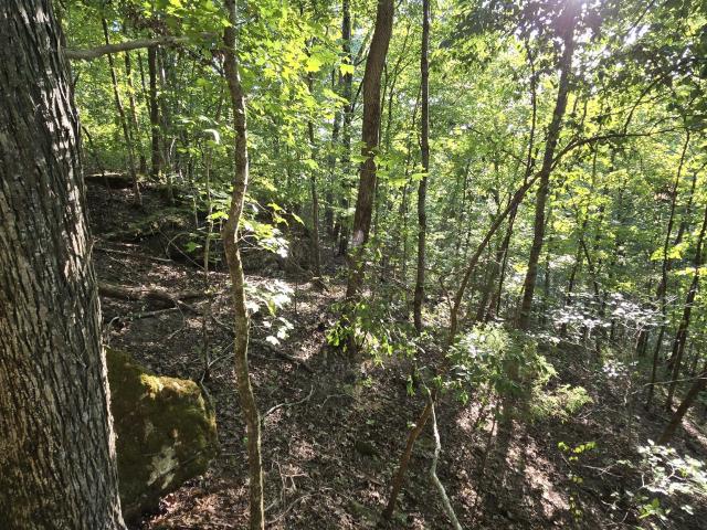 Farm for sale in Culleoka, Middle Tennessee