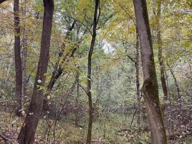 Property for sale in Tennessee