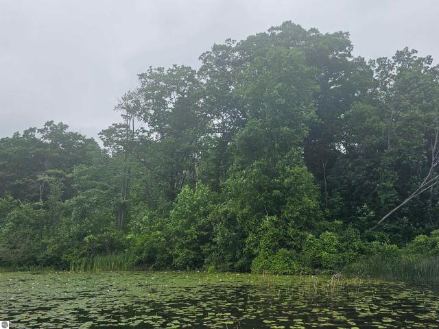 Land for sale in Michigan