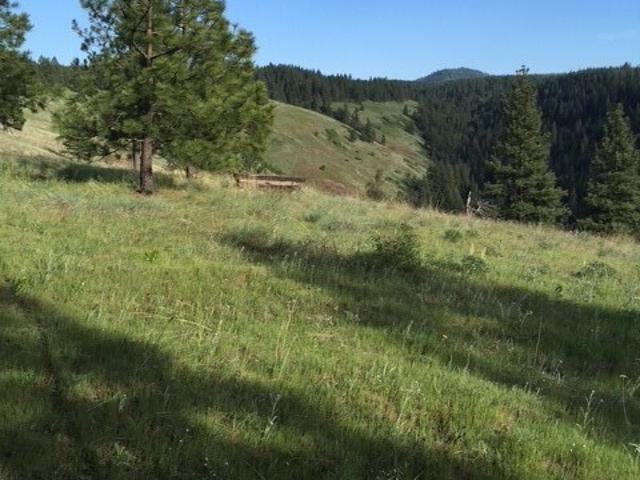 Land for sale in Waitsburg, Washington