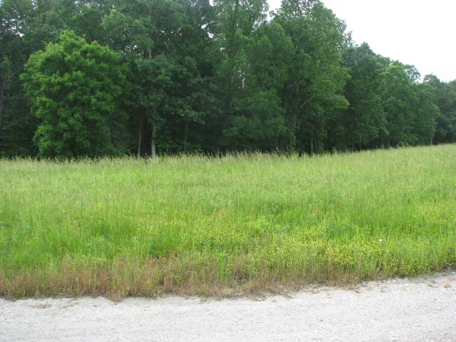 Land for sale in Tennessee