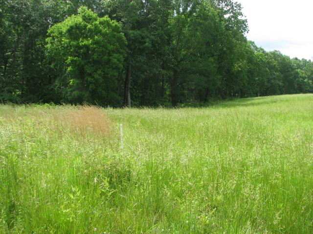 Land for sale in Tennessee