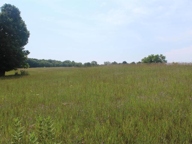 Land for sale in Michigan