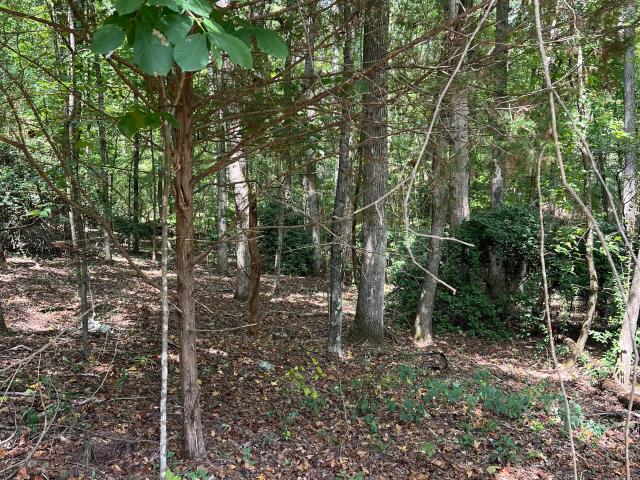 Land for sale in Upson, Georgia