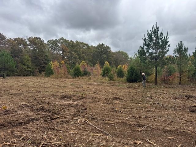 Land for sale in Tennessee
