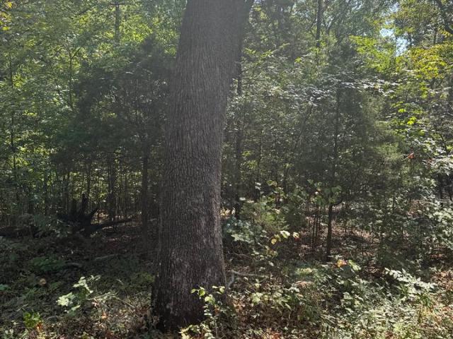 Land for sale in Barren River, Bowling Green