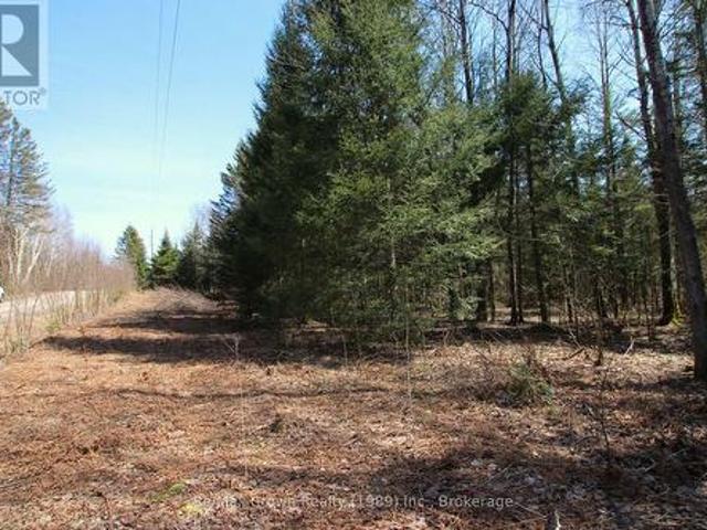 Land for sale in Byng Inlet, Ontario