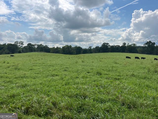 Land for sale in Arnoldsville, Georgia