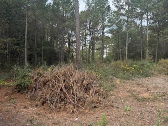 Land for sale in Grimes, Texas