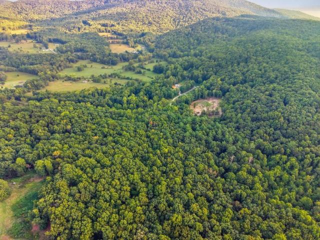 Land for sale in Crab Orchard, East Tennessee