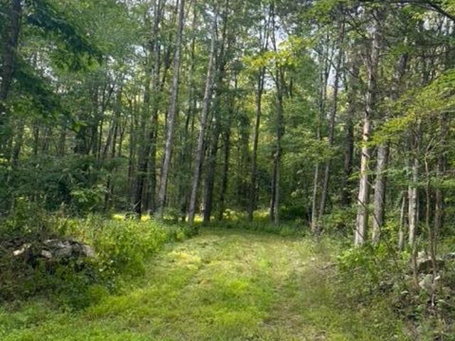 Land for sale in Claverack, New York