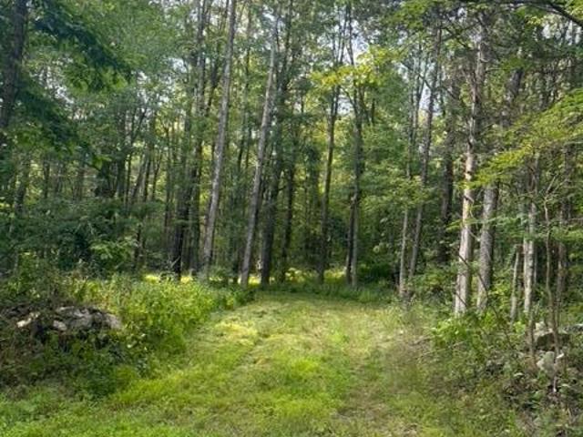 Land for sale in Claverack, New York