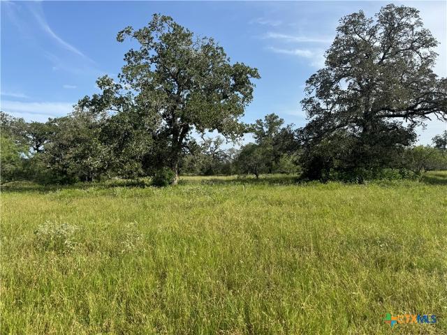 Farm for sale in Nixon, Texas