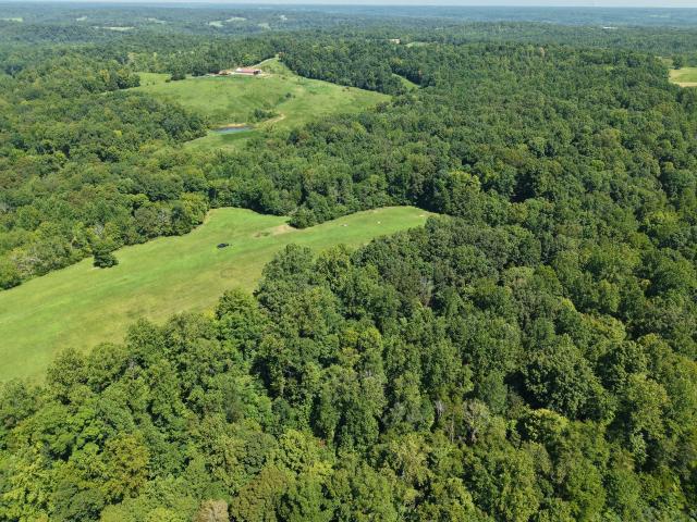 Farm for sale in Tennessee