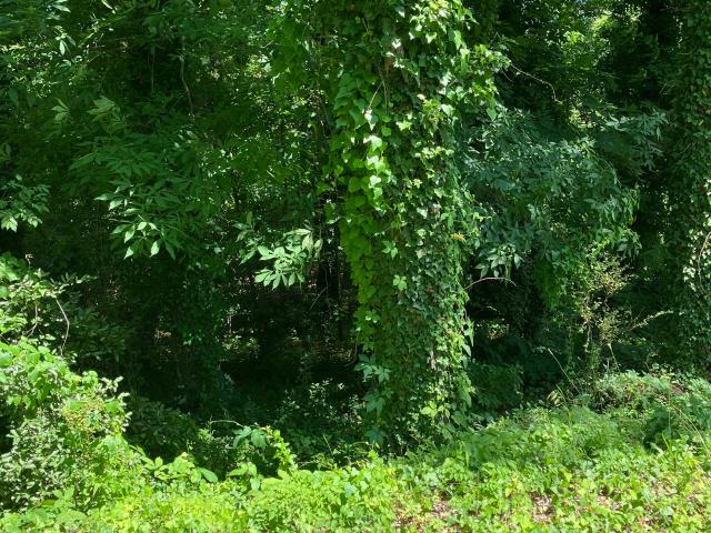 Land for sale in Lindale, Georgia