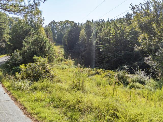 Land for sale in Smith, West Tennessee