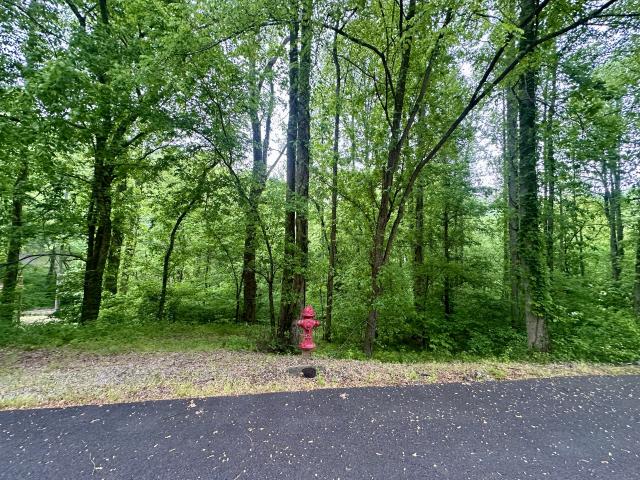 Land for sale in Tennessee
