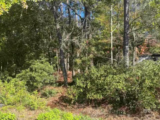 House for rent in Alabama