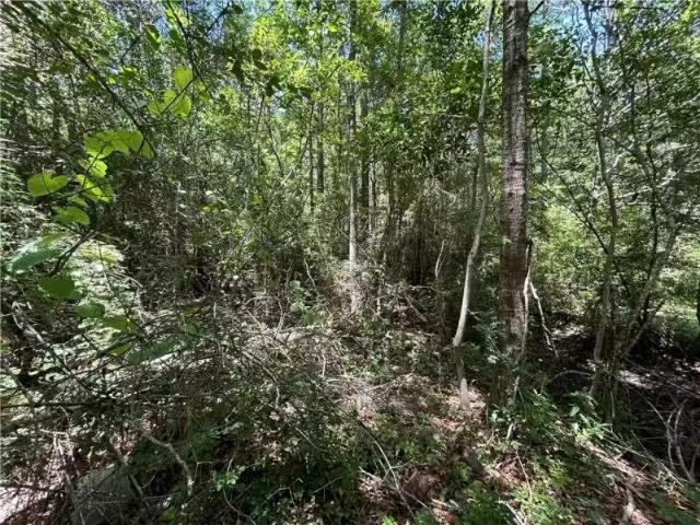 House for rent in Theodore