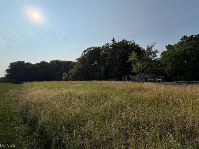 Land for sale in Wadsworth, Medina County