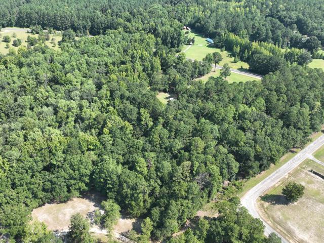 Land for sale in Gibson, Georgia