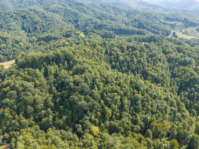 Land for sale in Tennessee