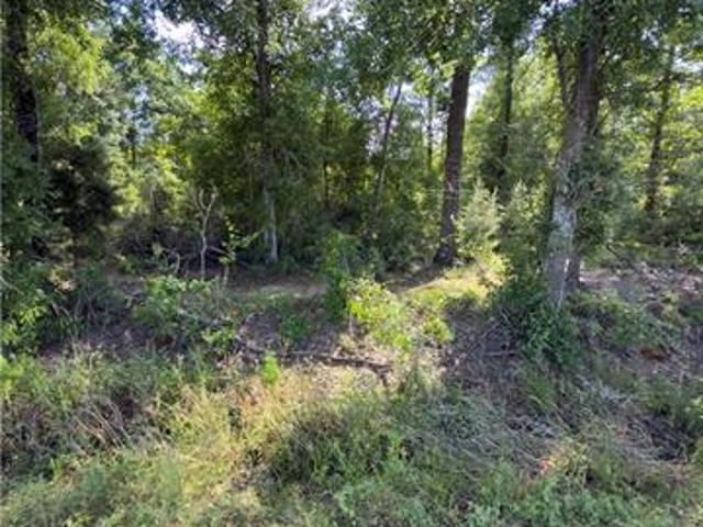 Land for sale in Maurepas, Louisiana