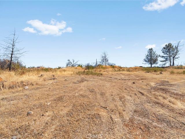Land for sale in Butte, California