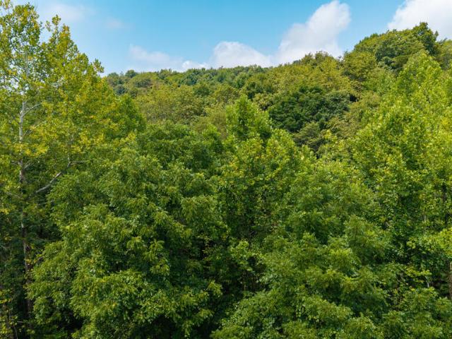 Land for sale in South Webster, Ohio