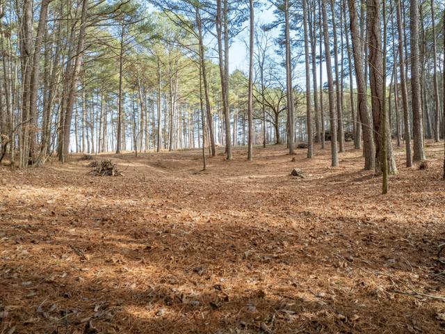 Land for sale in Tennessee