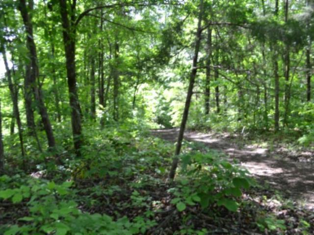 Farm for sale in Burkesville, Cumberland County