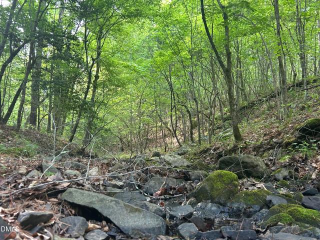 Land for sale in Wake, North Carolina