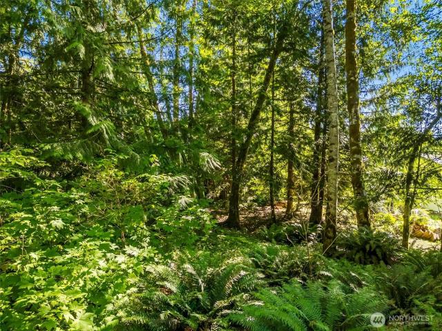 Land for sale in Washington