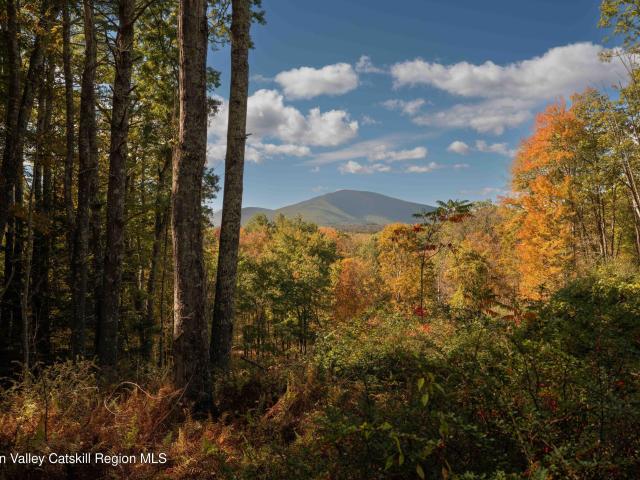 Property for sale in Olive, New York